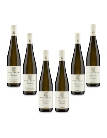 Riesling trocken Paket - 6 Flaschen